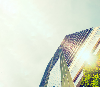 Acciones principales para la adopción de la estrategia ESG en su empresa